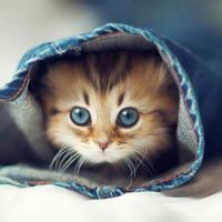 79ac69328aaf58e53914716b4778d410b1fbbeb1