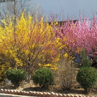 5ea4d58d46e6b70d9c8263b46d4ccffed7e8c1b6