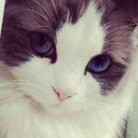 727d116a1bc9c2be10da6c6c4364fc147504bb9f