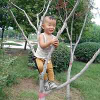 98128c6ef94bb2d770f139718efd483ae935248d