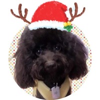 553654c7d8da4cab38813867e2a7ff6e828d06d2