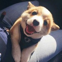 85d023162682053d17959e35a53dbaba88deca6c