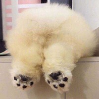 Ca6ceddc5d6524562d9f209f1c5cdfaafd3b608f