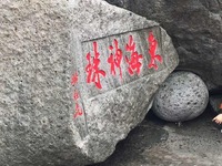 Dc8d96a04e77a899acabb4f1caa431d815ecbf2c