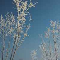 Ac5e85be9b9b351cc98fd0d58e25d989562ab6eb