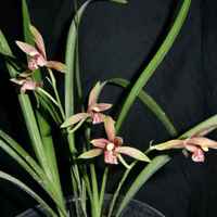 40904612876db4fffa889f7d3a057f695ec29ee7