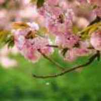 2291628adbbc086a16abc978075b305105cd18f3