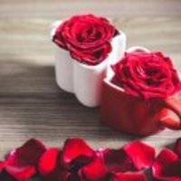 1e9bf8d6fe6f11e0b47d4ca5c6100b963e4a22be