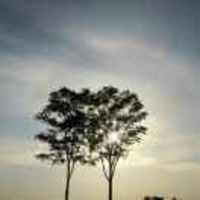 Bb0a9d7bba15a8730734157ef60b9639ed14bc63