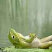 E1318f9d98ca592e2a3f86f54b46ed1a153a9abb