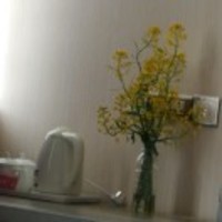 4ee999d26e51365c3d05eb4718665a7e2cf5b5b1