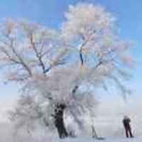 0b022615143d5a0916183587ccb06281a2e6dde5