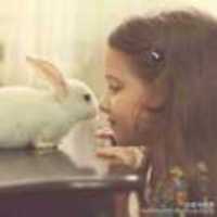 9f56dd965a8435ed487c840a1683a1c7e891e784