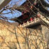 F978fcd99057e322efe0093763997b1998575ee5