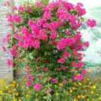 7599e4beebd1729afe05e516103358066facaed0