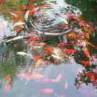 5bbad43c5983177482d2287927790c0acee7136e