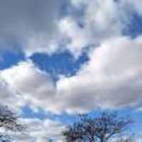 5e217f864cbb16c211269f29f36723ca89f0bb2a