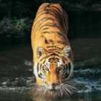 96689457db174fd94b0919d0a734c8a2a318df61