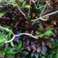 6083e2a6d54ccb1b9540166afb8380b1e1570342