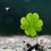 A122c8ed82d863b81d153aab0b966ae490e3c16c