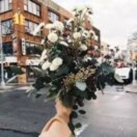 8e3f283e9441dcc6d447529b7f5aef634d3f6230