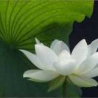 378f235f9367fd9da7e4b1683165c6ea24bdaf5c