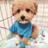 F8cae631a9144238eb303d4452096b0a3b7fbbd5