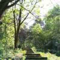 5dddca74fc2aa9d6e637983e7f4ea0c434070803