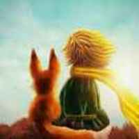 736ffba9d60791dd6b440226fe347d3cbc0ed9a5