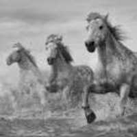 9c03c934db1c70cbe7660724fbf67f4138dc217f