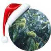 72bb9e8b7131e7920c9db8933d690001b7438eb5