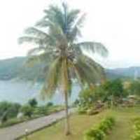 Ce0ae8ac4421ad03bbe9698aade78259e79d10d9