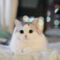 47a28a0700aef219b09f8402696c668a1ac285b8