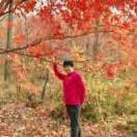 837714d71989afba257dcfdd6316ca4a51470d3a