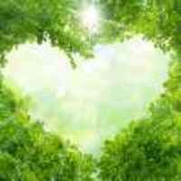 E912f12fa7853e087357f8dbd7b0cfaf1f8fe7a6