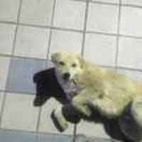 85948f54ba7771062ba75728342504886fab3542