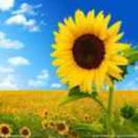 Fd875e62f76b2c7255321649c01248e7b0ddde60