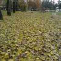 572e09c9420085df97b2739fc9456031dfa489dc