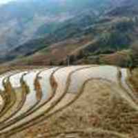 464aa33240f8e2ed3cf1553b732441b0db05612f