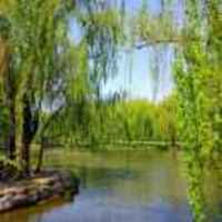 B1974a2e5d4a619996a125e557a6bf1a167f13d3