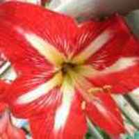 B32312dedb45a29b01be5d6158bdaf2040cdd5fa