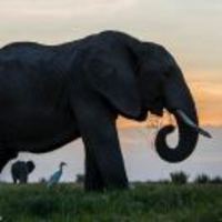 7dc2c18421ac80f73f71152cd63d74ba707f8ea4