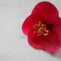 4c9c8e31b87376f7ee6c1d02e057300f6112d171