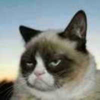 5e695edac0b3c8cf7f624571dd0ef0402c4358b5