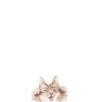 Ed34ff81a32607868a6af59c8b4e8e921ef75436