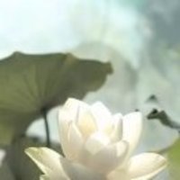 3429f87275052e3665b480547343394ef3c760a3