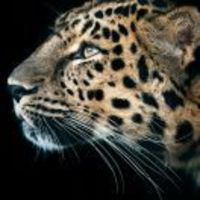 4d693188777d0997756a8f06bdf011a68cb70ffa