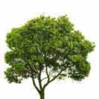 335199db7a0ef2ff1b16be73e2328a08c9bfd391