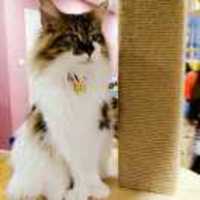 89cccda10f31ad071cf65399a9fd78aa1f6ccbc4