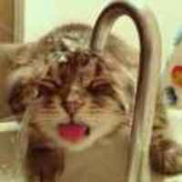 63faf2e88e6fafe2a60af658699e478acee13389